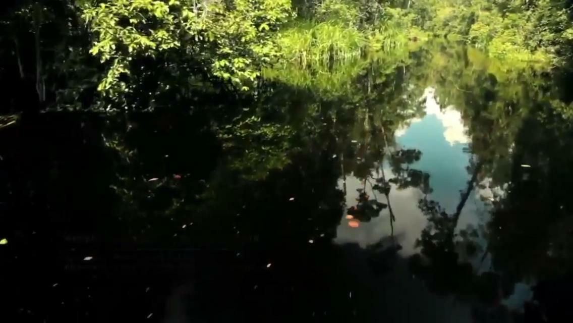 Orangutan Shaka Houseboat With Cabin بانكالان بون المظهر الخارجي الصورة