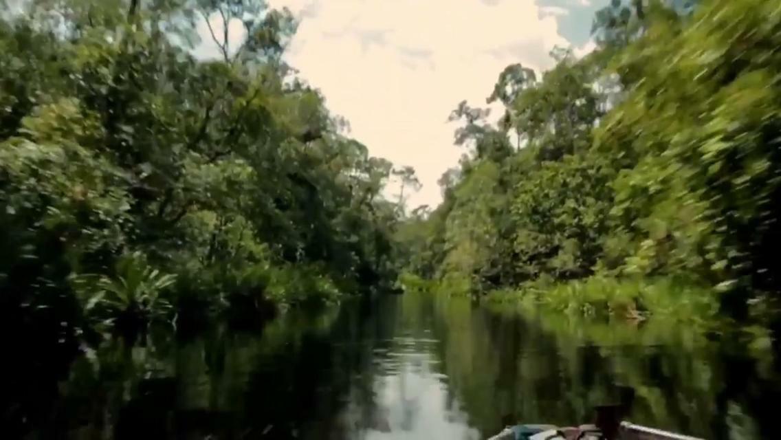 Orangutan Shaka Houseboat With Cabin بانكالان بون المظهر الخارجي الصورة